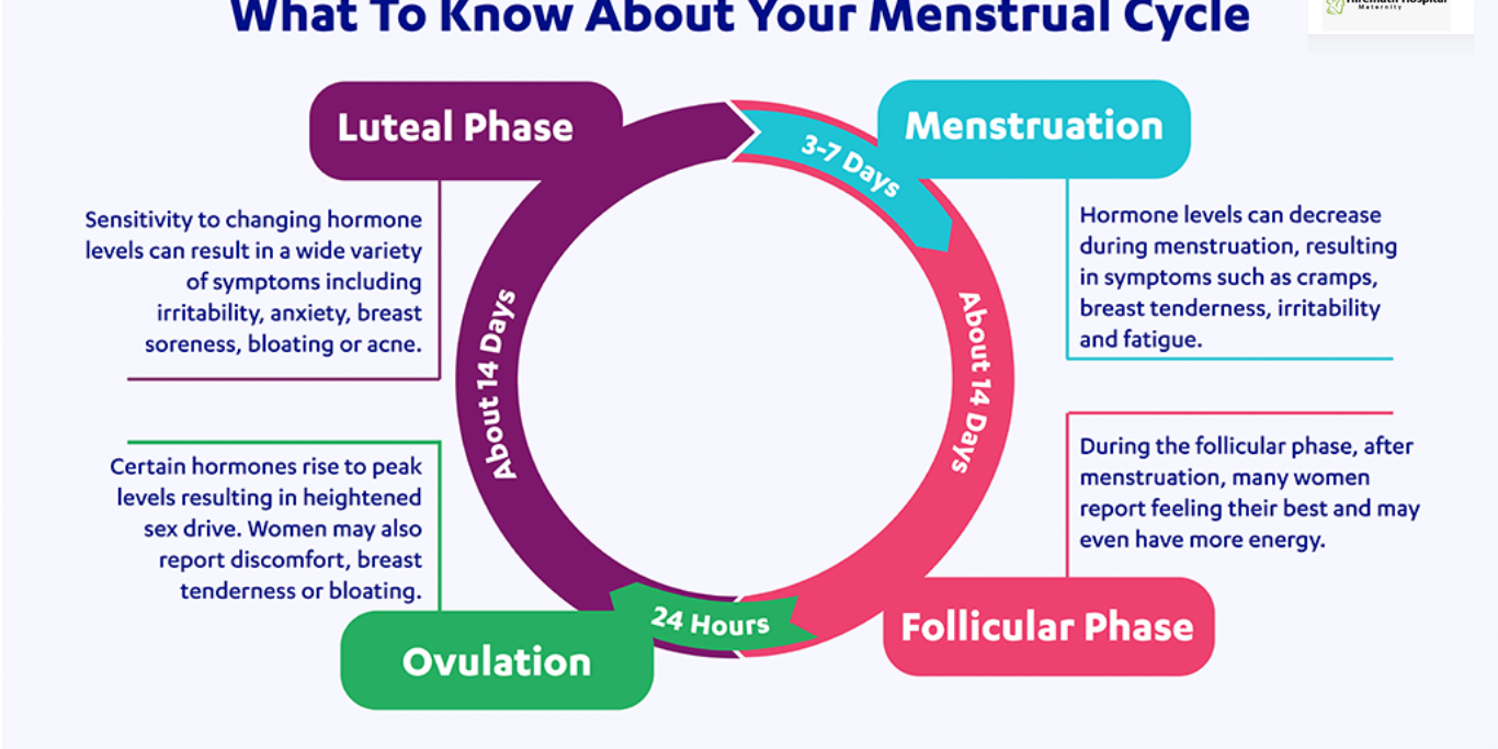 Understanding Menstrual Cycle: What You Need to Know Gynecologist in PCMC