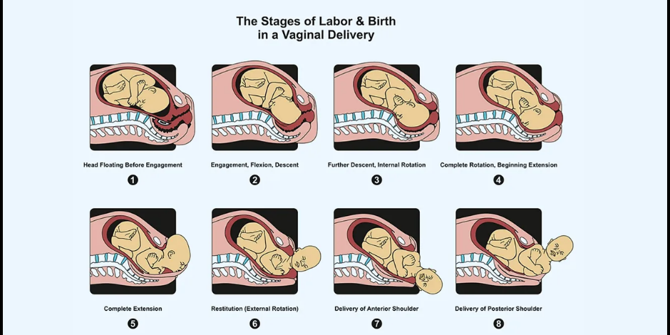 Simple preparation tips for a normal delivery Normal delivery in PCMC