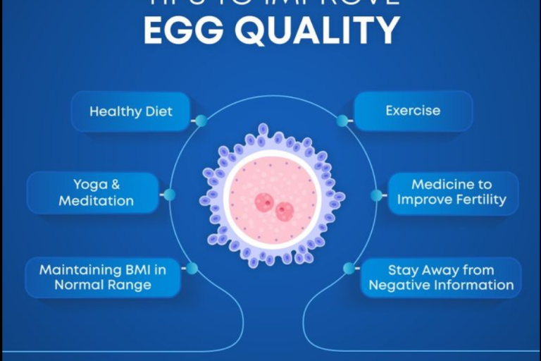 Tips to Improve Egg Quality Improve Egg Quality